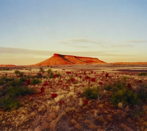 Alison Renwick - Waverley, NSW