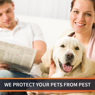 WestPest Pest Control - Kenwick, WA. We Protect Your Pets From Pest