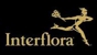 South End Florists - Florists
