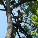 All Around Tree Specialists LLC - Landscape Designers & Consultants