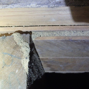 Inspect Wollongong. Termite Mud Lead