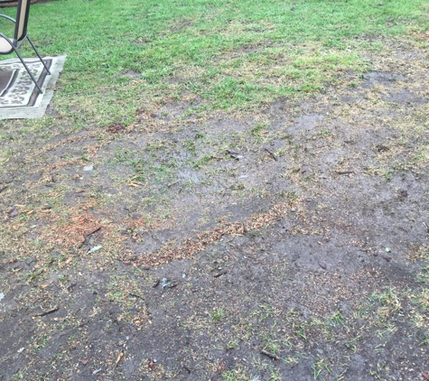 G Trees - Lincoln Park, MI. After rain, can't even walk in backyard