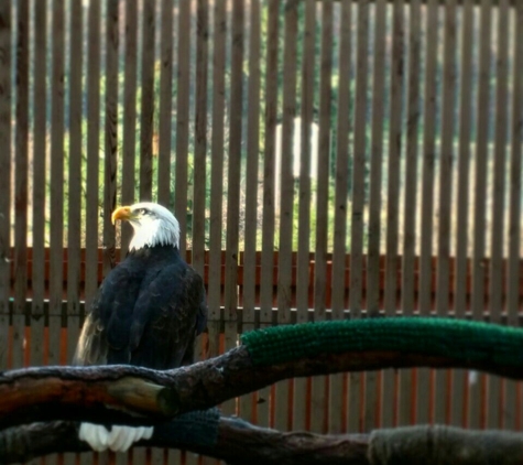 Columbia Gorge Discovery Center & Museum - The Dalles, OR