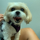 University Animal Clinic