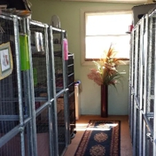 Gallery Image Number 2