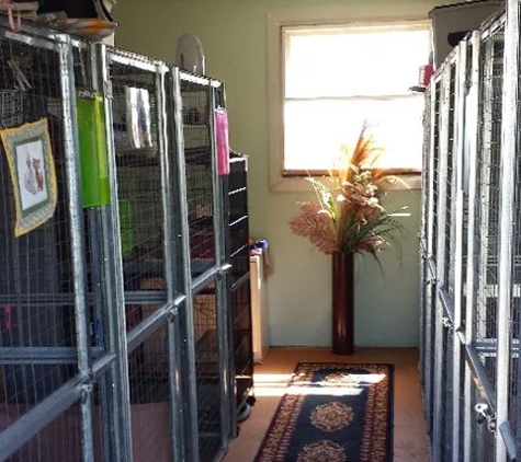 Ulverstone Boarding Kennels & Cattery - Ulverstone, TAS
