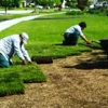 Doug Scott Lawn Maintenance gallery