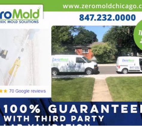 Zero Mold - Palatine, IL