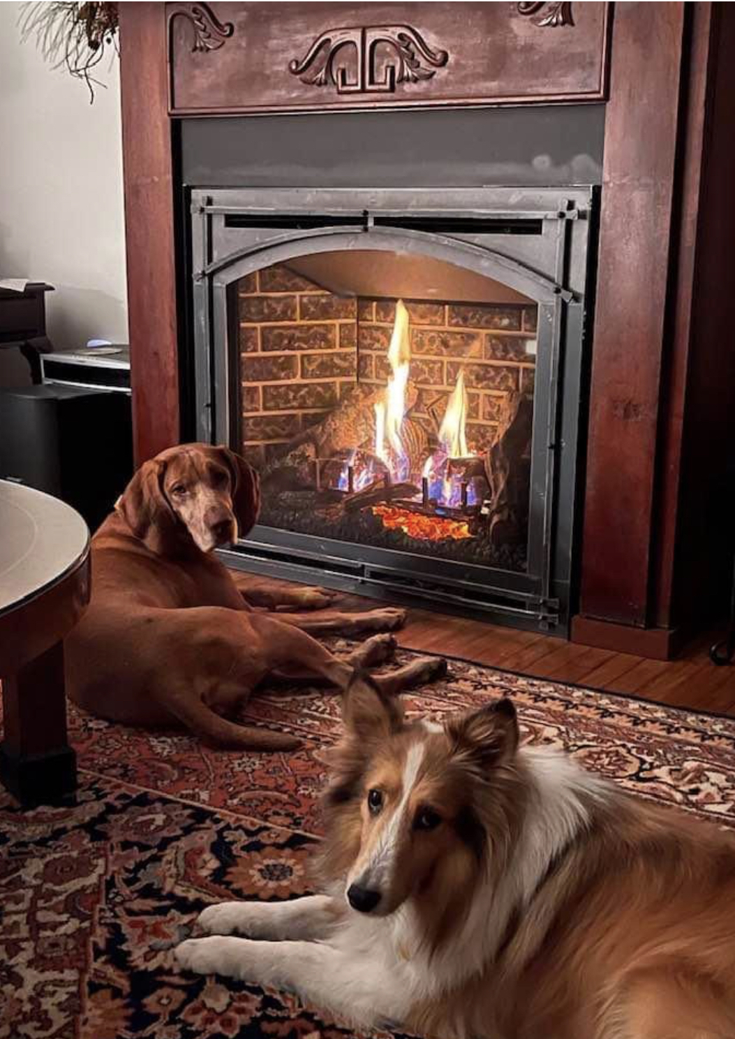 Cozy Fireplace & Patio - Parkersburg, WV 26105