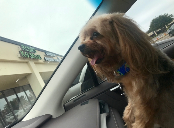 Resa's K-9 Salon - Lubbock, TX. Happy ziggy just leaving Reesas