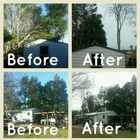 Davenport Tree Service,LLC