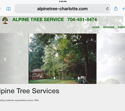 Alpine Tree Service