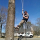 Brasher Brothers Tree Service