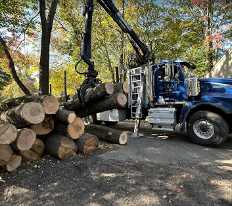 PA Triple A Tree Service - Feasterville-Trevose, PA