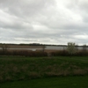 Braddock Bay Bird Observatory gallery