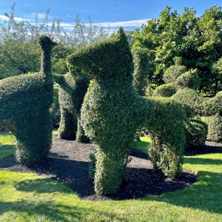 Green Animals Topiary Gardens - Portsmouth, RI
