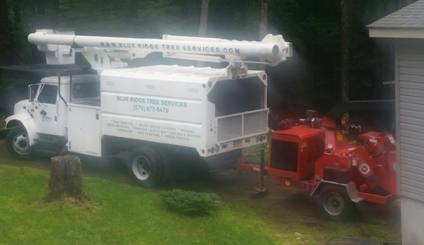 Blue Ridge Tree Services - Dingmans Ferry, PA