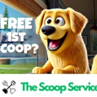 The Scoop Service