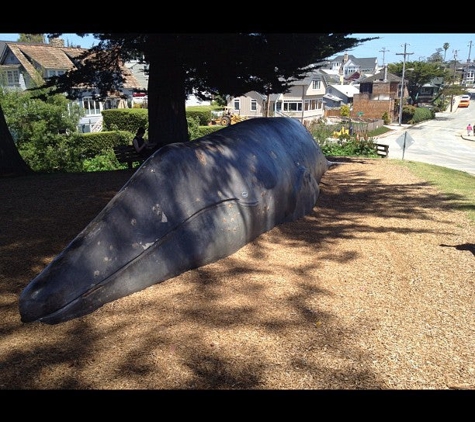 Santa Cruz Museum of Natural History - Santa Cruz, CA