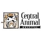 Central Animal Hospital