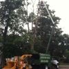 Fields Tree Service, L.L.C. gallery