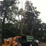 Fields Tree Service, L.L.C.