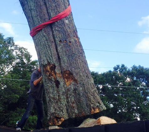 Stanley Tree and Landscaping - Cartersville, GA