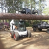 McKenzie's Tree Service Inc gallery