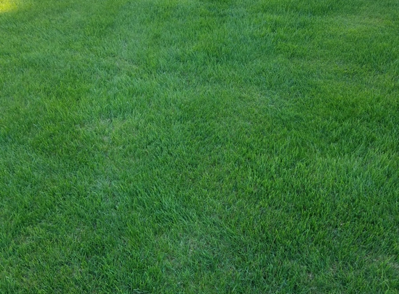 Lawver's Underground Pet Fences - Janesville, WI. Grass appearance 5 minutes after Install!