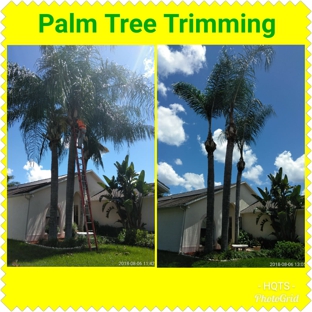 High Quality Tree Service - Tampa, FL