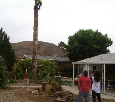 Laan's Tree Care - Temecula, CA