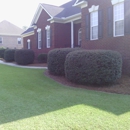 Clean Cut Lawns LLC - Fence Repair