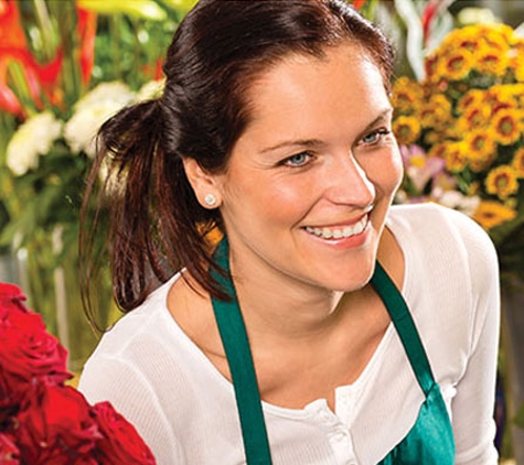 SD Loans Leasing & Insurance Brokers - Woree, QLD