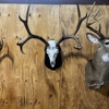 Daddy D Taxidermy gallery