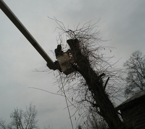 R W Tree Service - Marshall, MO