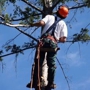 RR Banuelos Tree Service
