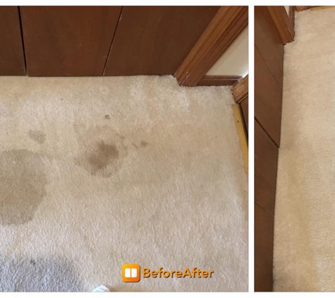 Fantastic Floor Cleaning LLC - Belton, MO