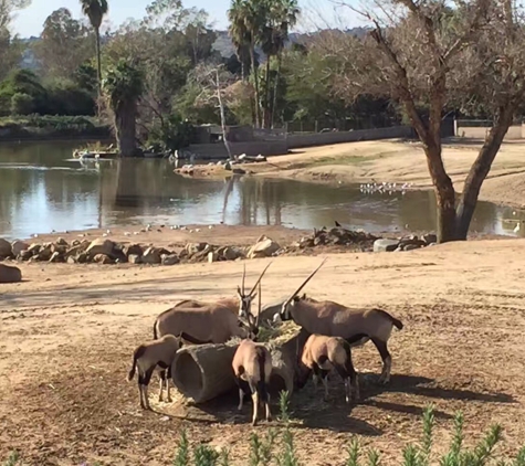 San Diego Zoo Safari Park - Escondido, CA