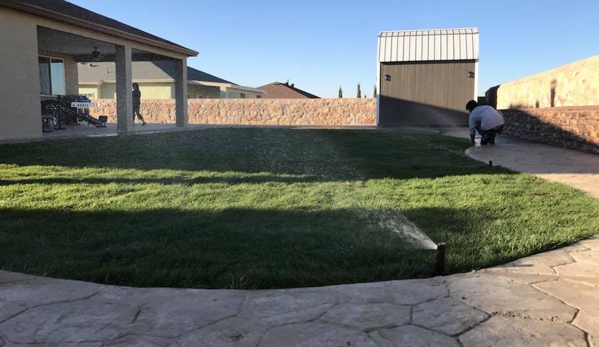 Leo Landscape LLC - Fort Lupton, CO