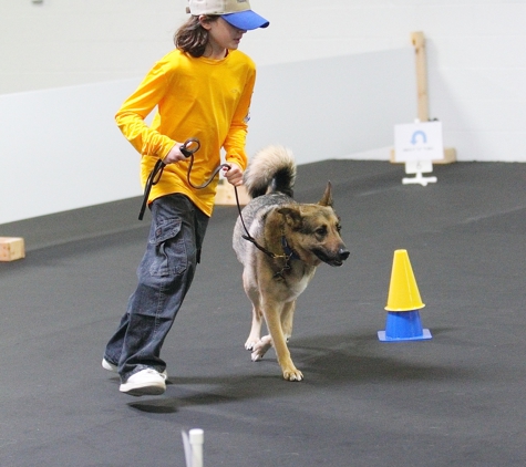 Dog Zone Training & Activity Center - New Baltimore, MI