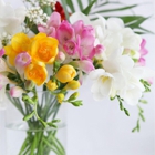 Basket of Flowers