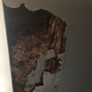 Evicta Pest Management
