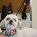 Camino Verde Pet Resort - Dog & Cat Grooming & Supplies