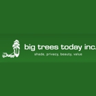 Big Trees Today
