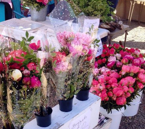 Brooks Gardens - Peonies - Salem, OR