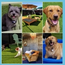 River's Edge Boarding and Grooming - Pet Boarding & Kennels