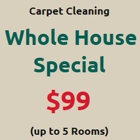 Carpet  Cleaner Inc