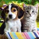 pets-R-us-supplies - Dog & Cat Grooming & Supplies