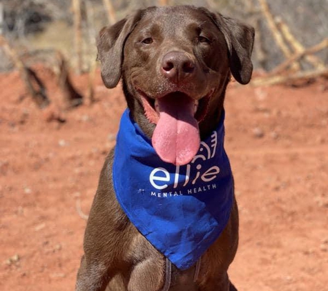 Ellie Mental Health - Colorado Springs, CO