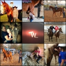 Wofford Ranch - Horse Rentals